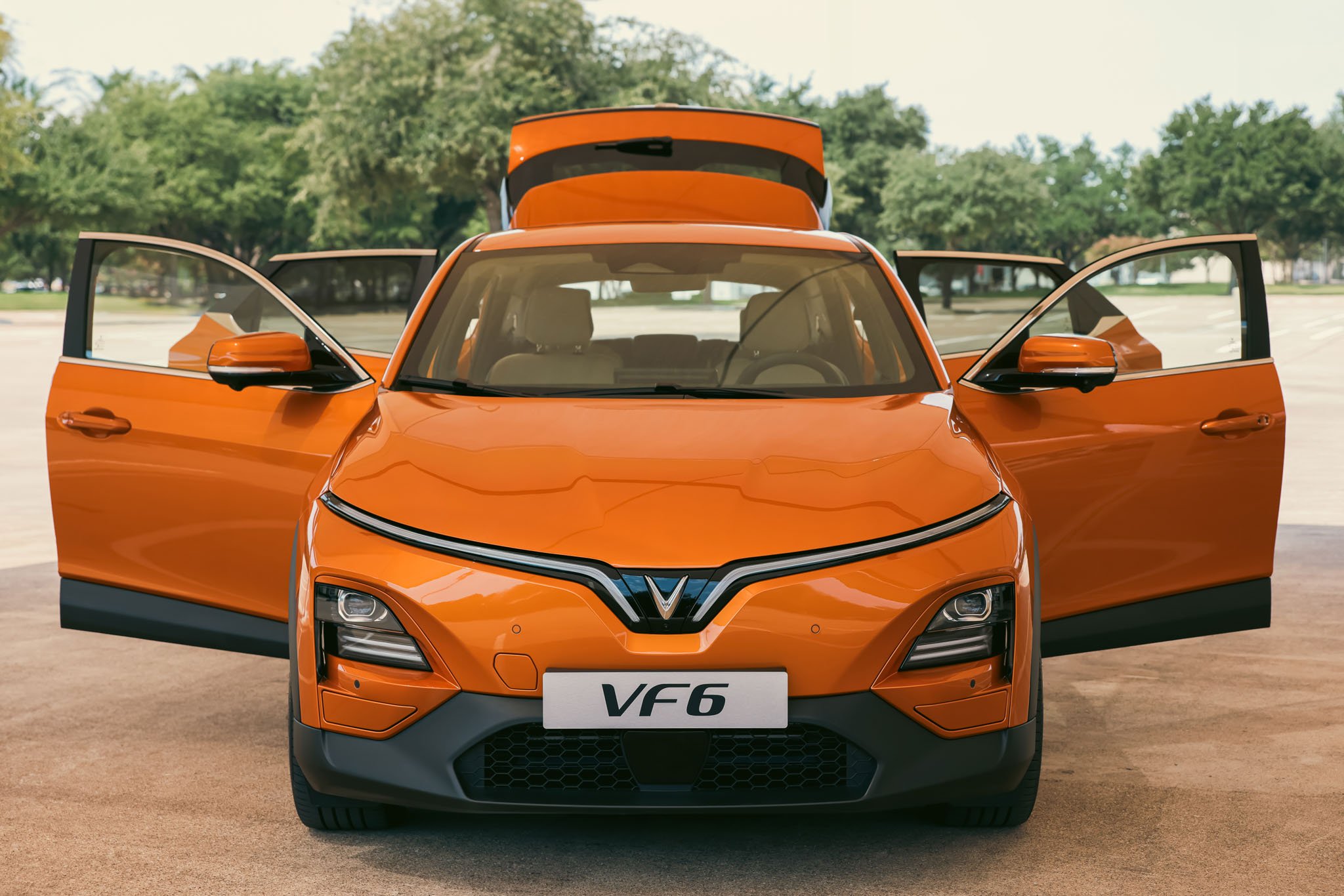 8135576_vinfast-vf6-ra-mat-36 vinfast-vf6-ra-mắt-36.jpg