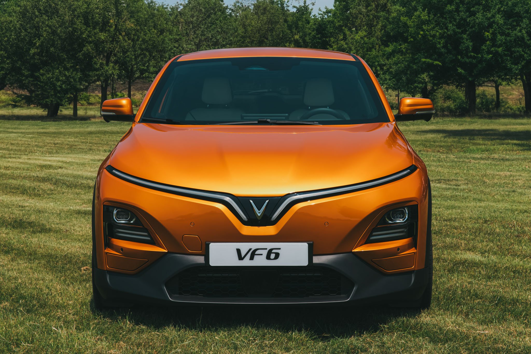 8135603_vinfast-vf6-ra-mat-9 vinfast-vf6-ra-mắt-9.jpg